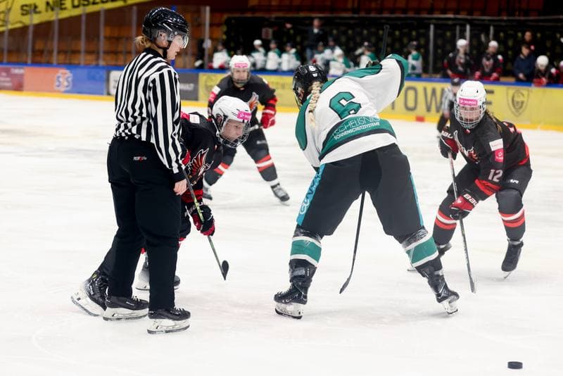 Ice Hockey. EWHL. Tauron Metropolia Silesia - KEHV Lakers. 03.02.2024