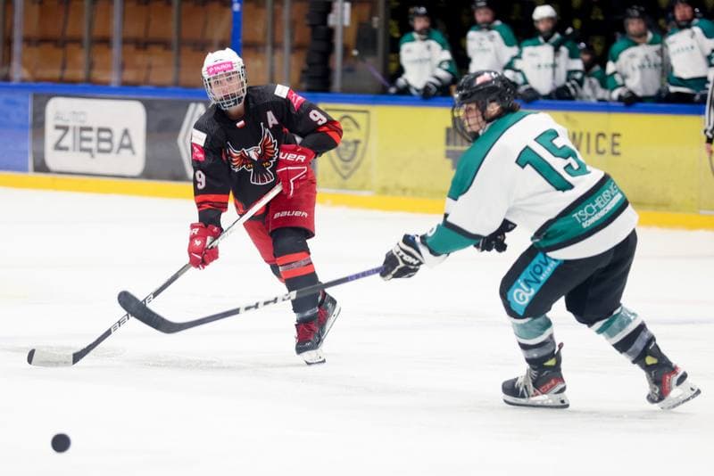 Ice Hockey. EWHL. Tauron Metropolia Silesia - KEHV Lakers. 03.02.2024