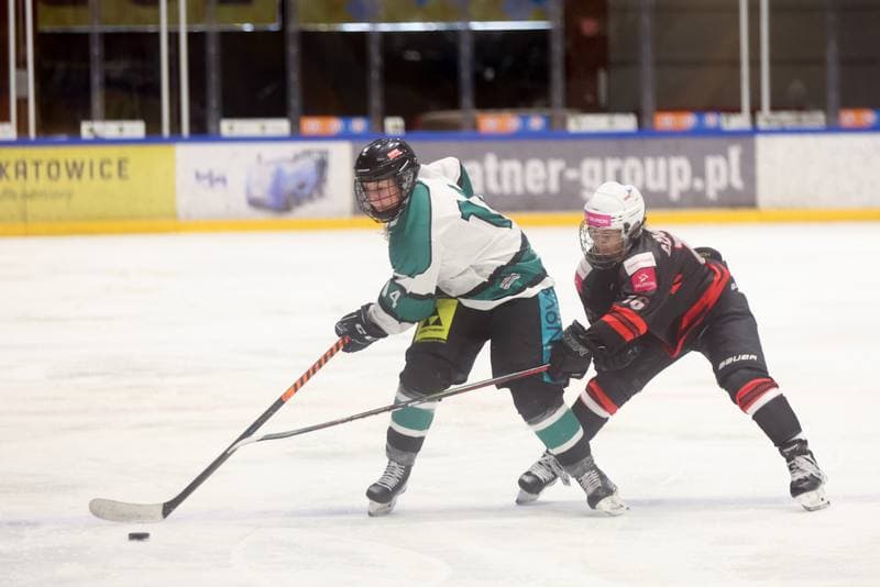 Ice Hockey. EWHL. Tauron Metropolia Silesia - KEHV Lakers. 04.02.2024