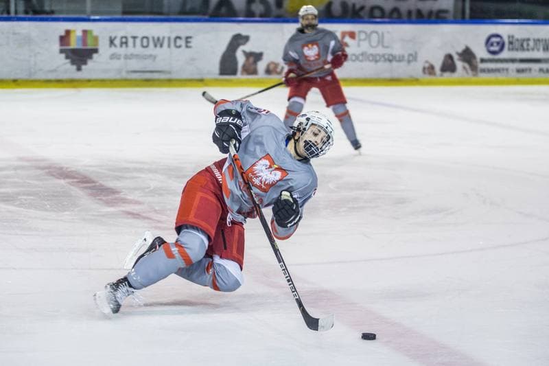 Ice Hockey. Poland national team. Training. 31.03.2022