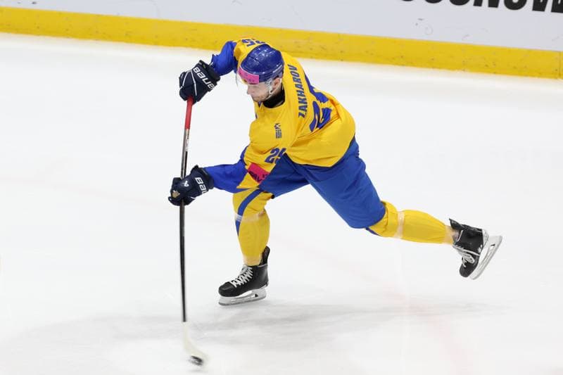 Ice Hockey. Olympic Qualification. Poland - Ukraine. 09.02.2024