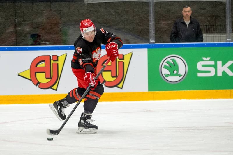 Ice Hockey. Poland national team. Training. 01.05.2022