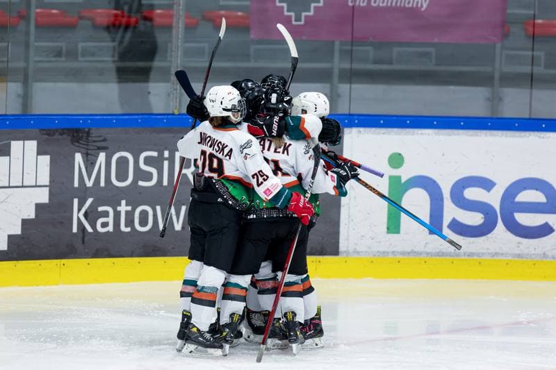 Ice Hockey. Tauron Liga. Kojotki Naprzod Janow - Stoczniowiec Gdansk. 24.02.2024