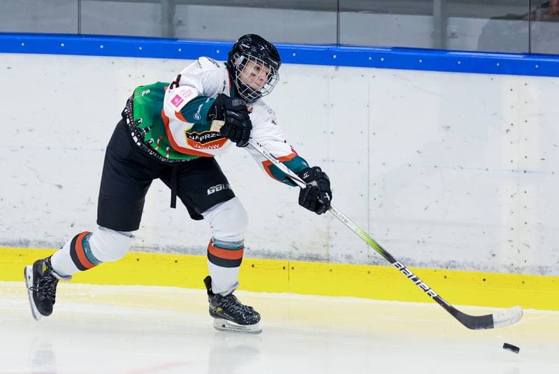 Ice Hockey. Tauron Liga. Kojotki Naprzod Janow - Stoczniowiec Gdansk. 24.02.2024