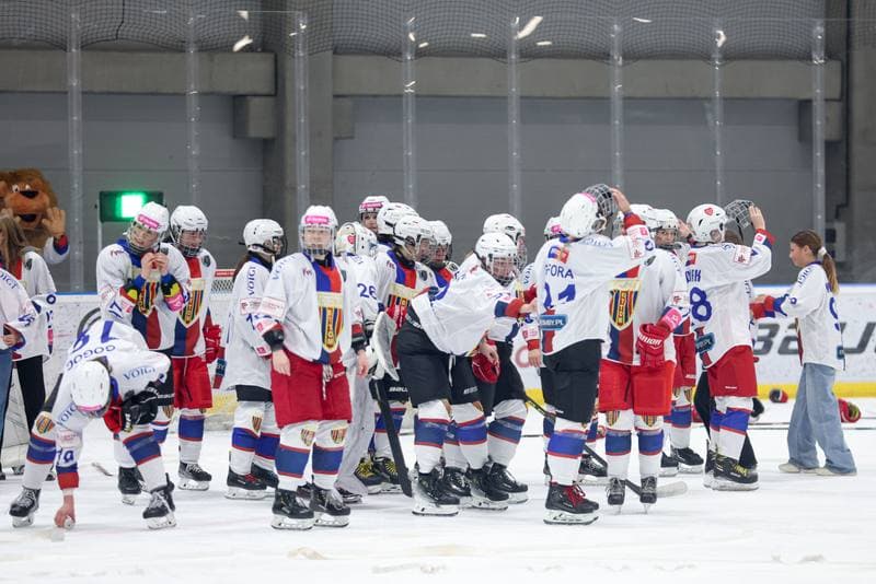 Ice Hockey. Tauron Liga Hokeja Kobiet. BS Polonia Bytom - Kojotki Naprzod Janow. 16.03.2024