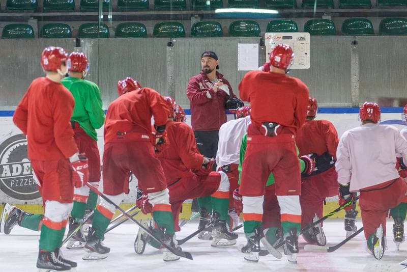 Ice Hockey. Zaglebie Sosnowiec. Training. 02.08.2022