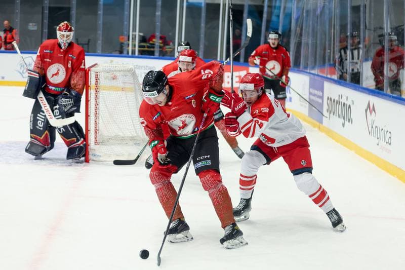 Ice Hockey. Friendly Match. Poland - Hungary. 13.04.2024