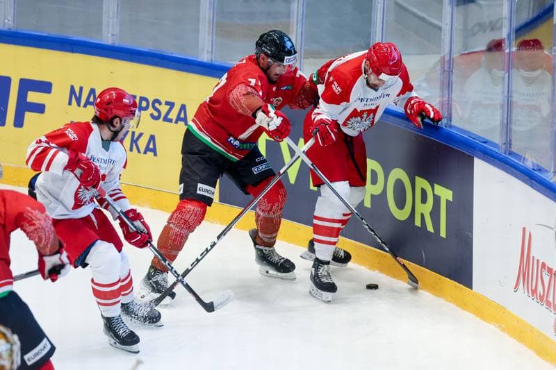 Ice Hockey. Friendly Match. Poland - Hungary. 13.04.2024
