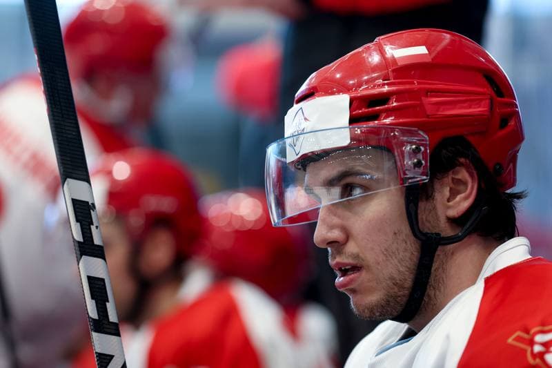 Ice Hockey. Friendly Match. Poland - Hungary. 13.04.2024