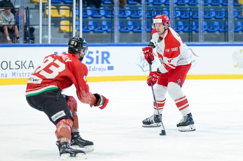 Ice Hockey. Friendly Match. Poland - Hungary. 13.04.2024