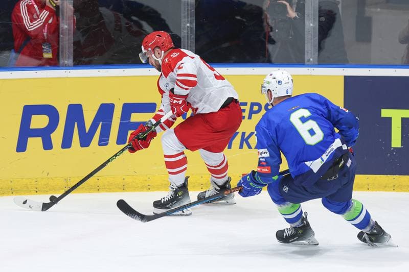 Ice Hockey. Friendly Match. Poland - Slovenia. 18.04.2024