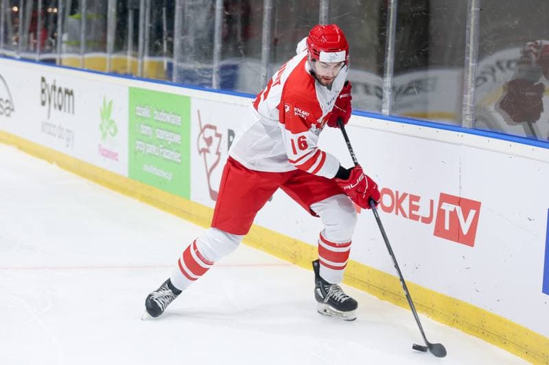 Ice Hockey. Friendly Match. Poland - Slovenia. 19.04.2024