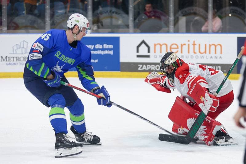 Ice Hockey. Friendly Match. Poland - Slovenia. 19.04.2024