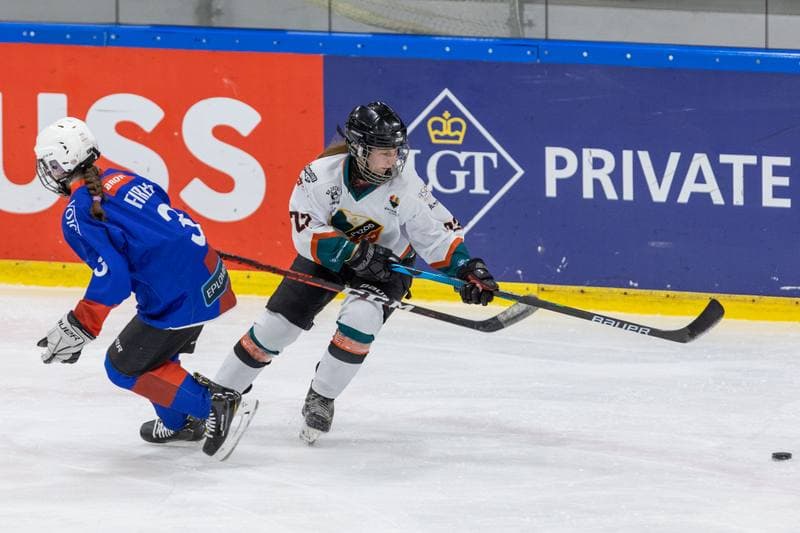Ice Hockey. PLHK. Kojotki Naprzod Janow - BS Polonia Bytom. 09.11.2022