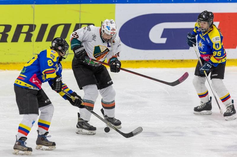 Ice Hockey. PLHK. Kojotki Naprzod Janow - MMKS Podhale Nowy Targ. 12.11.2022