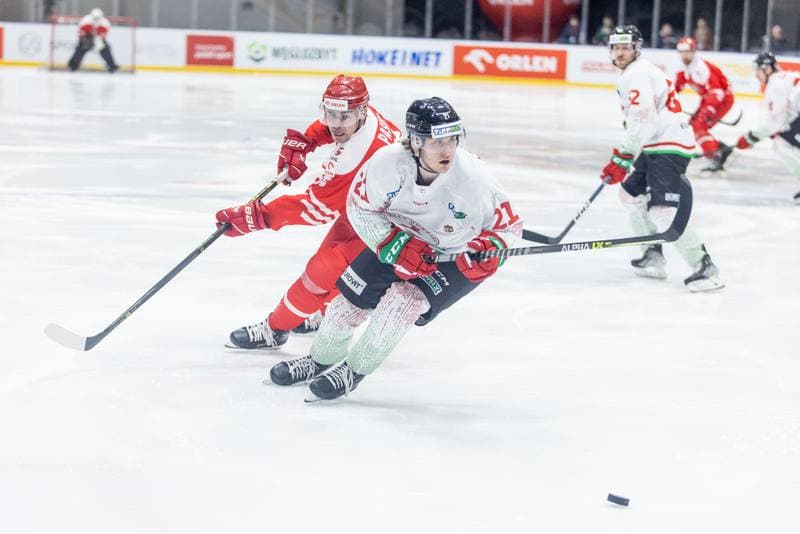 Ice Hockey. Friendly Match. Poland - Hungary. 21.04.2023