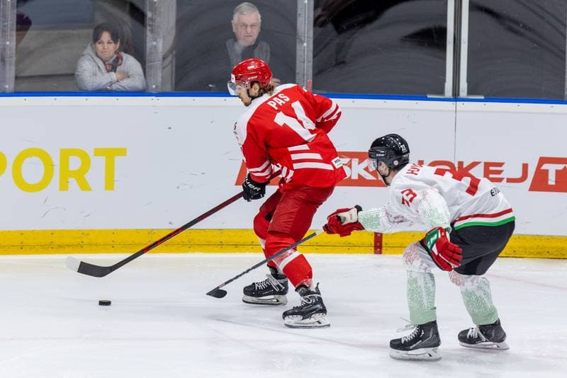 Ice Hockey. Friendly Match. Poland - Hungary. 21.04.2023