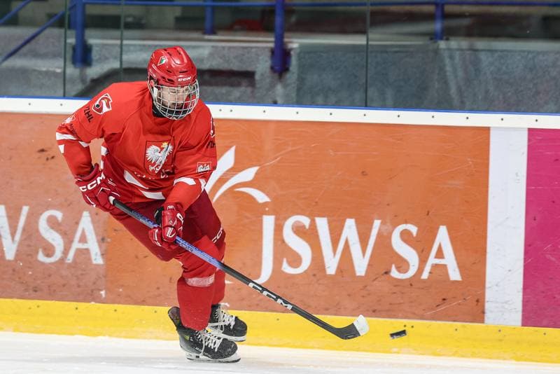 Ice Hockey. Poland national team. Training. 03.11.2024