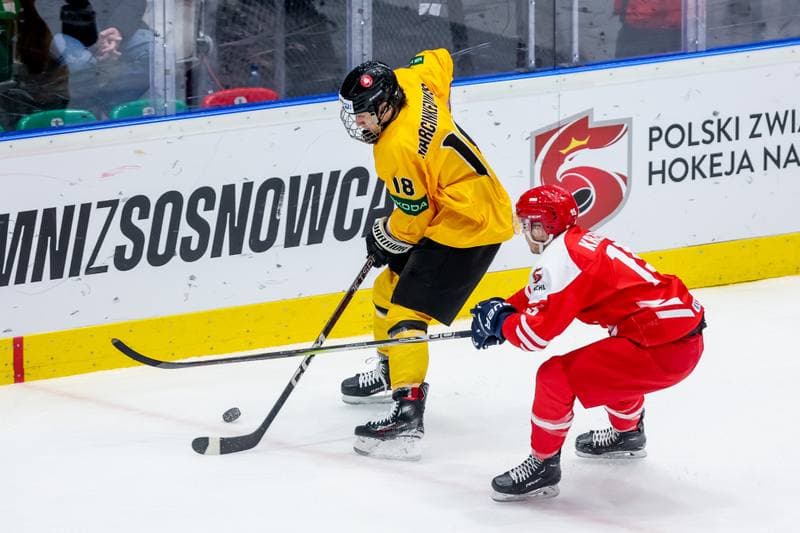 Ice Hockey. EIHC. Poland - Lithuania. 11.11.2023
