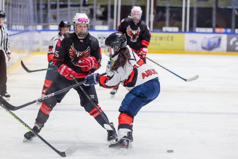 Ice Hockey. EWHL. Tauron Metropolia Silesia - Aisulu Almaty. 26.11.2023