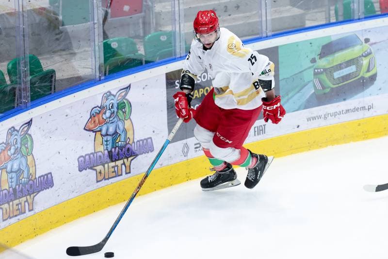 Ice Hockey. Tauron Hokej Liga. Zaglebie Sosnowiec - PZU Podhale Nowy Targ. 14.02.2024