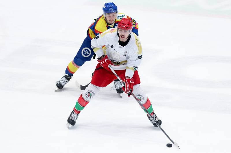 Ice Hockey. Tauron Hokej Liga. Zaglebie Sosnowiec - PZU Podhale Nowy Targ. 14.02.2024
