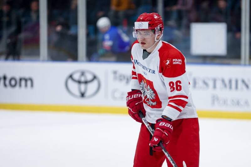 Ice Hockey. Friendly Match. Poland - Slovenia. 18.04.2024