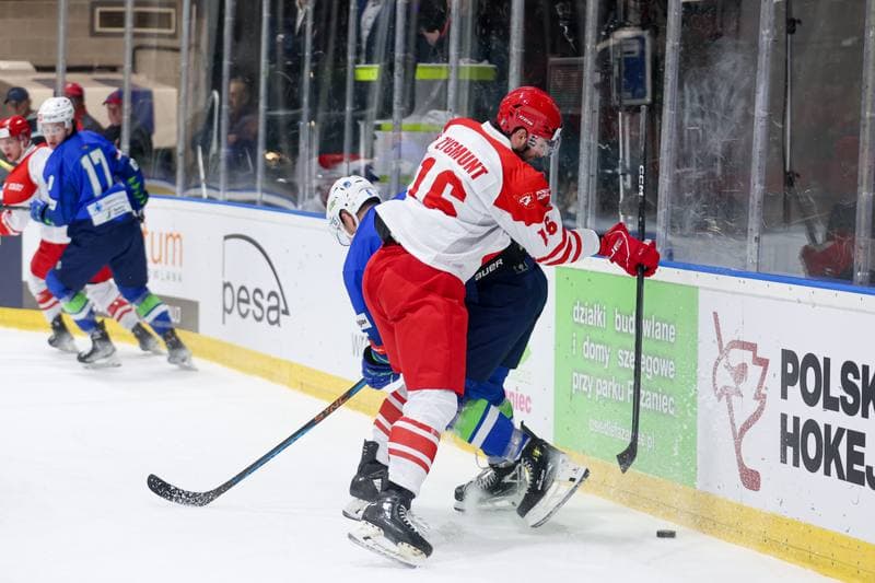 Ice Hockey. Friendly Match. Poland - Slovenia. 19.04.2024