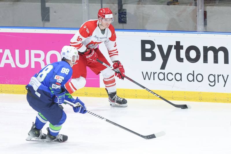 Ice Hockey. Friendly Match. Poland - Slovenia. 19.04.2024