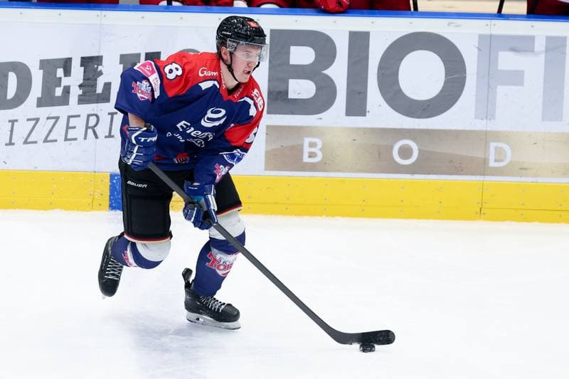 Ice Hockey. Tauron Hokej Liga. Zaglebie Sosnowiec - KH Energa Torun. 12.01.2024