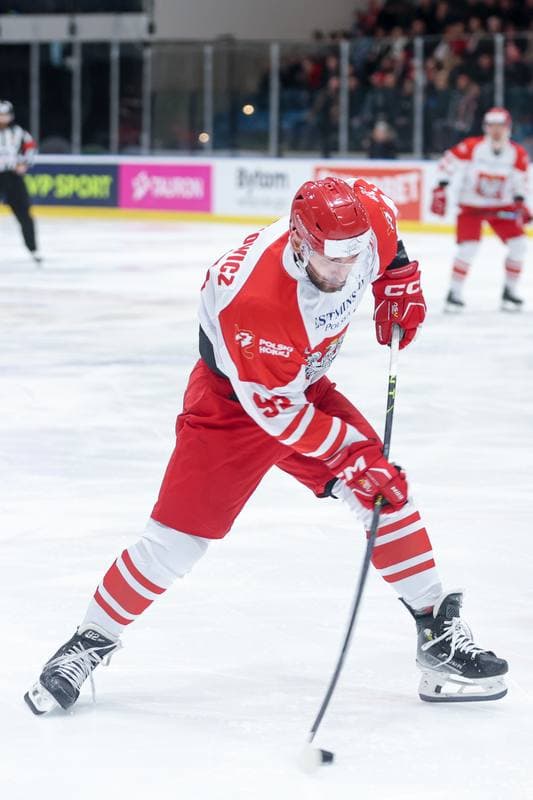 Ice Hockey. Friendly Match. Poland - Slovenia. 19.04.2024
