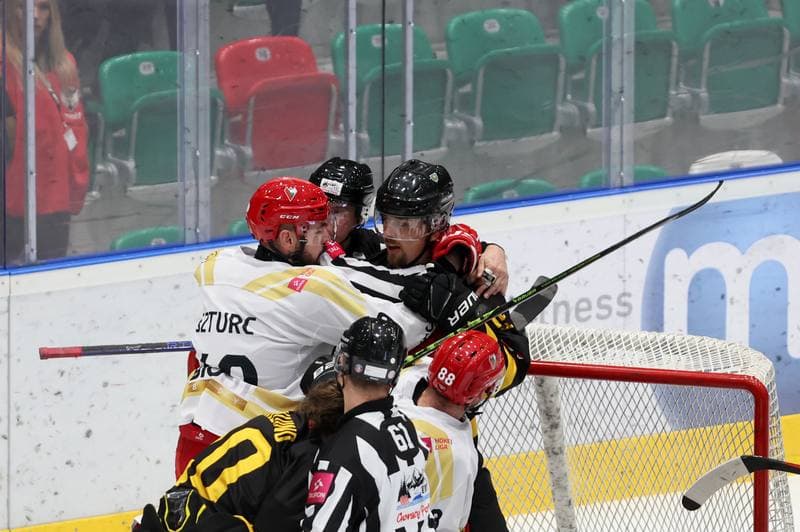 Ice Hockey. Tauron Hokej Liga. Zaglebie Sosnowiec - GKS Katowice. 21.01.2024