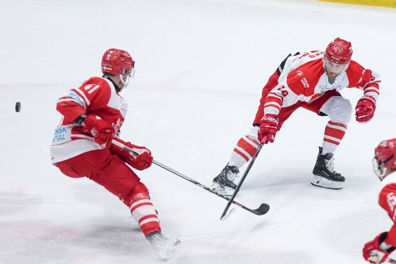 Ice Hockey. Friendly Match. Poland - Denmark. 07.05.2024