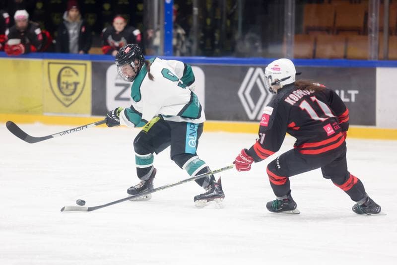 Ice Hockey. EWHL. Tauron Metropolia Silesia - KEHV Lakers. 04.02.2024