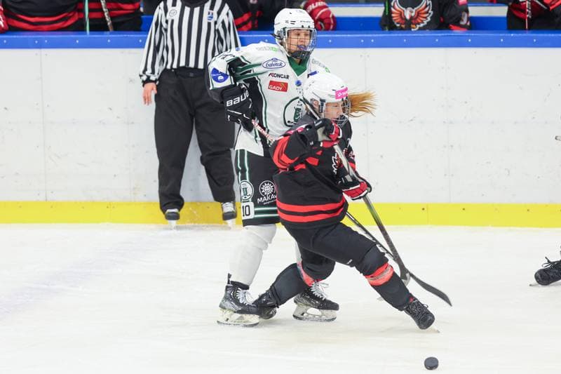 Ice Hockey. EWHL. Tauron Metropolia Silesia - EC Graz Huskies. 02.03.2024