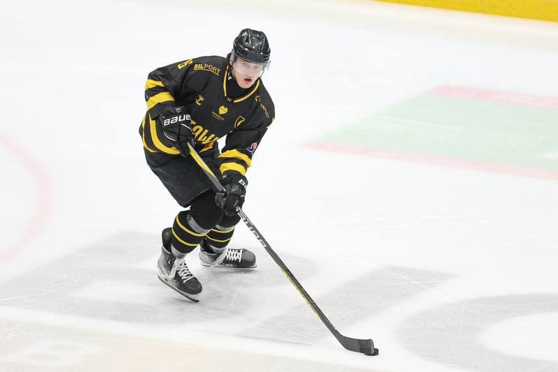 Ice Hockey. Tauron Hokej Liga. Zaglebie Sosnowiec - GKS Katowice. 06.03.2024