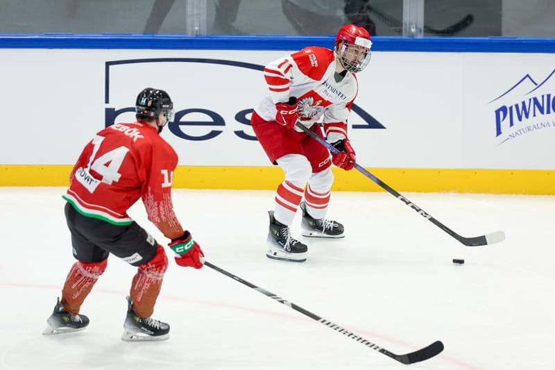 Ice Hockey. Friendly Match. Poland - Hungary. 12.04.2024