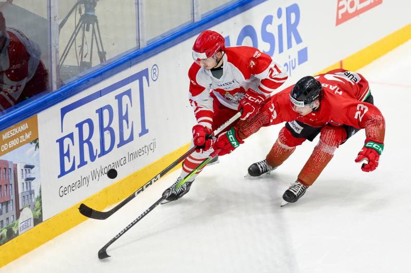 Ice Hockey. Friendly Match. Poland - Hungary. 12.04.2024