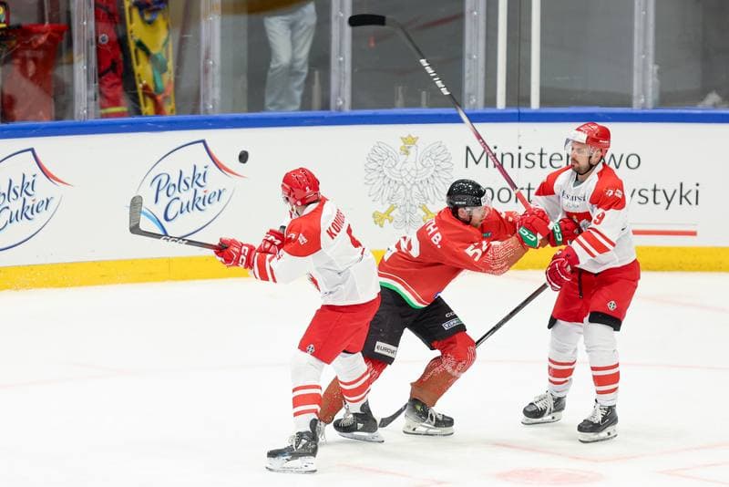 Ice Hockey. Friendly Match. Poland - Hungary. 12.04.2024