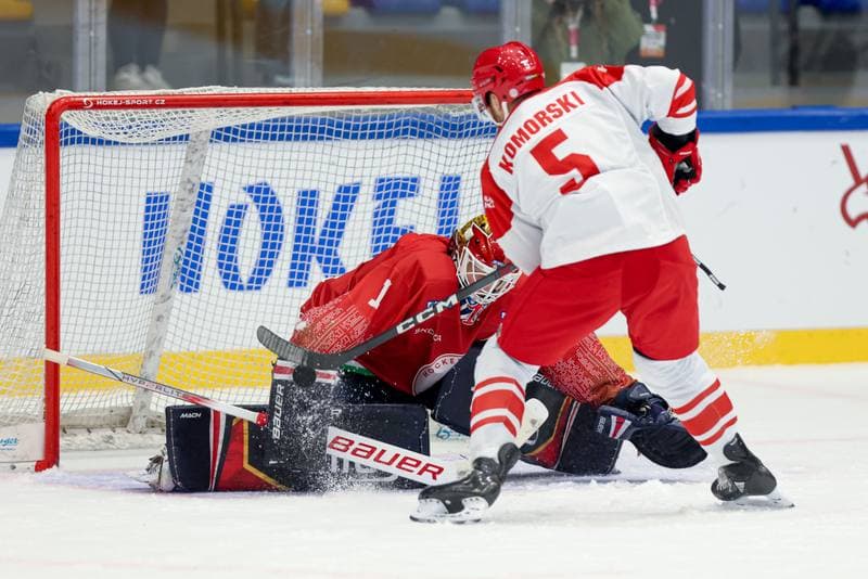 Ice Hockey. Friendly Match. Poland - Hungary. 13.04.2024