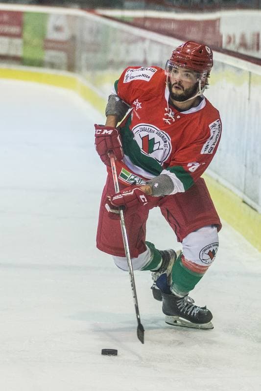 Ice Hockey. PHL. Comarch Cracovia - Zaglebie Sosnowiec. 05.11.2021