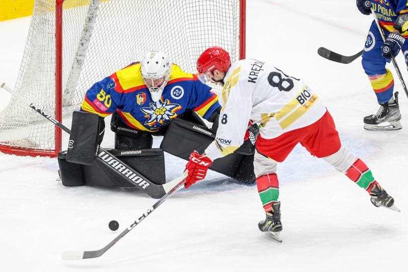 Ice Hockey. Tauron Hokej Liga. Zaglebie Sosnowiec - PZU Podhale Nowy Targ. 03.12.2023