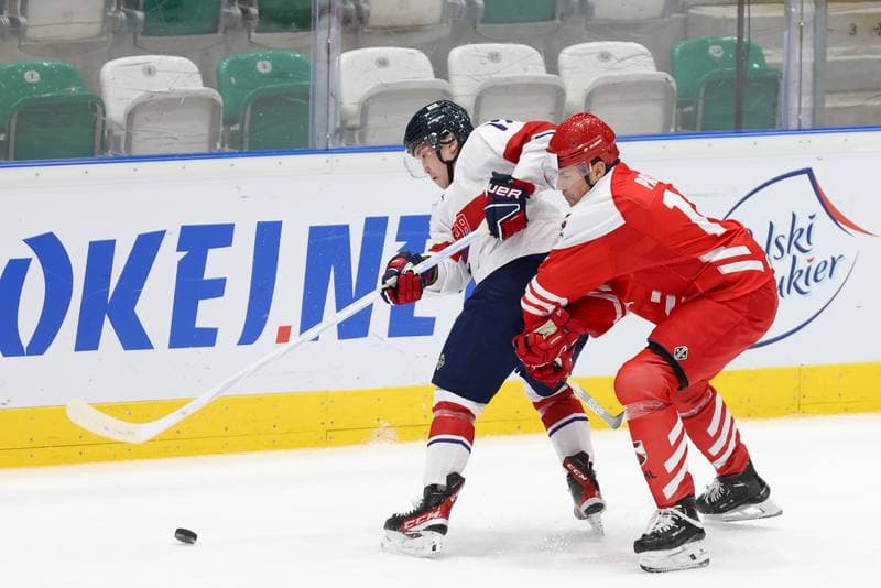 Ice Hockey. Olympic Qualification. Korea - Poland. 11.02.2024