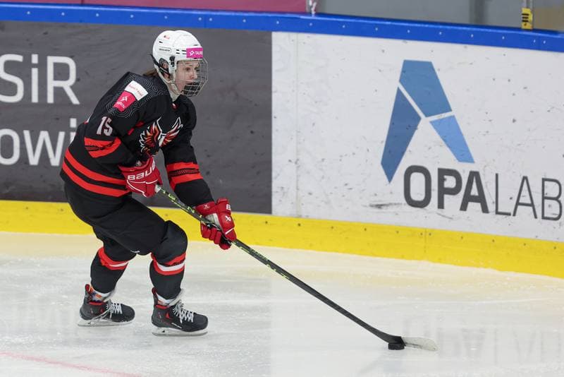 Ice Hockey. EWHL. Tauron Metropolia Silesia - EC Graz Huskies. 02.03.2024