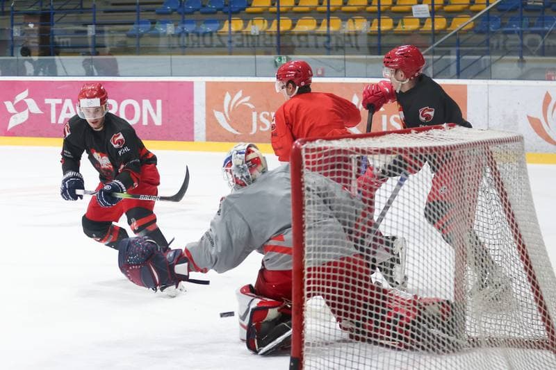 Ice Hockey. Poland national team. Training. 02.04.2024