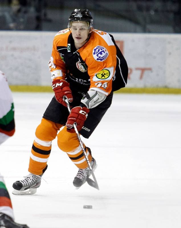 Ice Hockey. Polska Hokej Liga. GKS Tychy - JKH GKS Jastrzebie. 30.11.2014