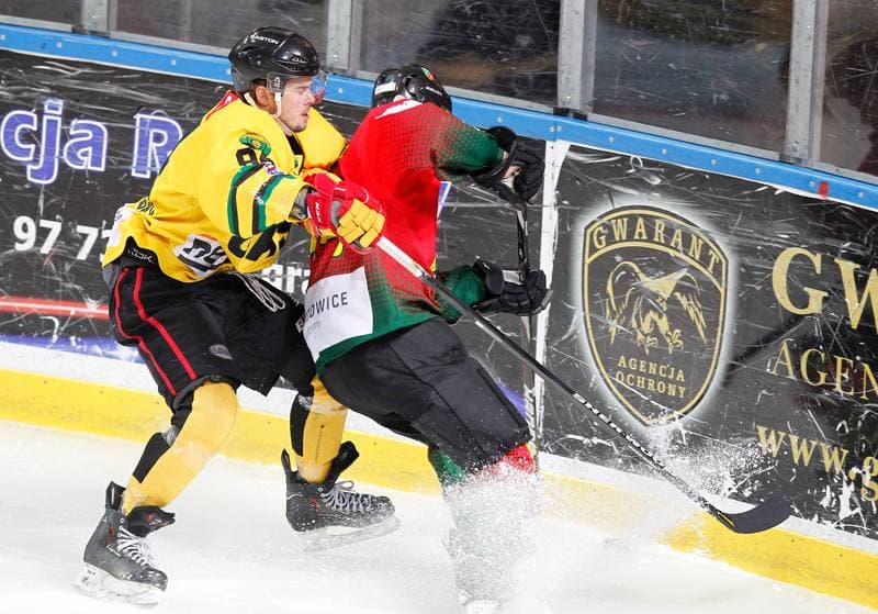 Ice Hockey. Polska Hokej Liga. HC GKS Katowice - Naprzod Janow. 05.12.2014