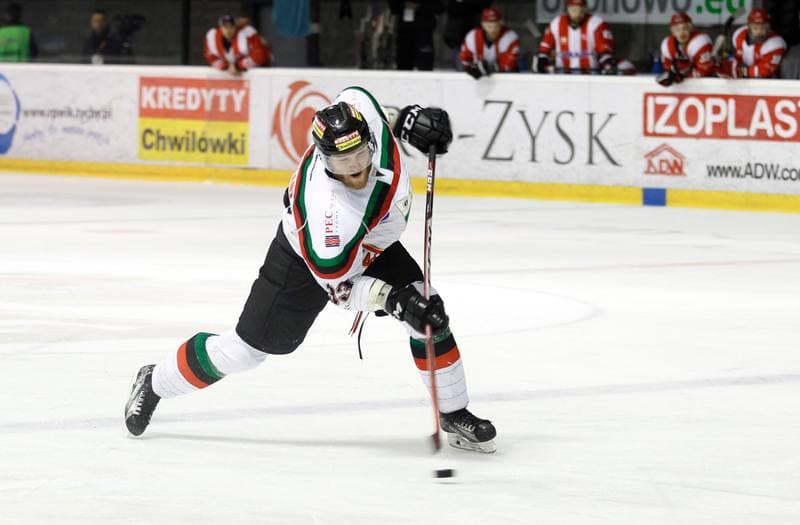 Ice Hockey. Polish Hockey League. GKS Tychy - Comarch Cracovia. 18.03.2016