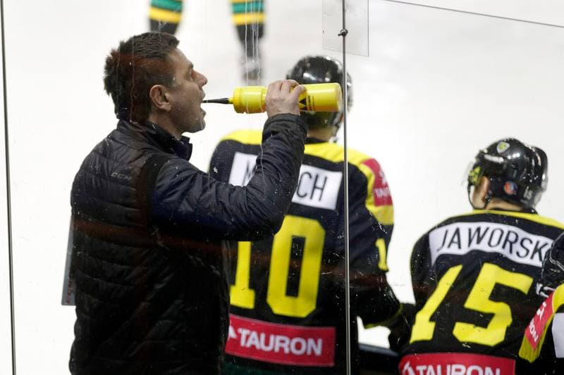 Ice Hockey. Polska Hokej Liga. SMS PZHL Sosnowiec - Tauron KH GKS Katowice. 31.01.2017