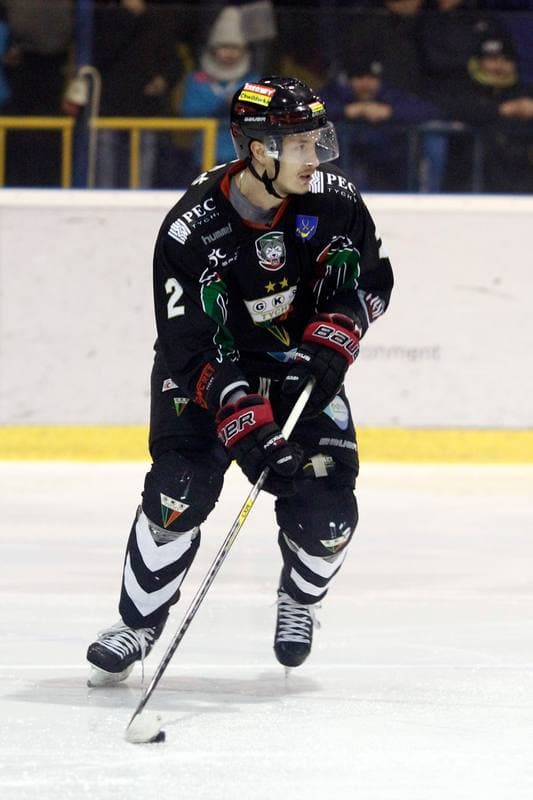 Ice Hockey. Polska Hokej Liga. Tempish Polonia Bytom - GKS Tychy. 15.02.2017